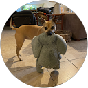 Paul L. profile picture